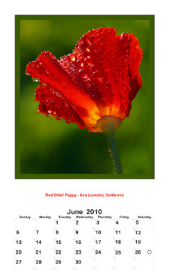 2010 Portrait Calendar - June