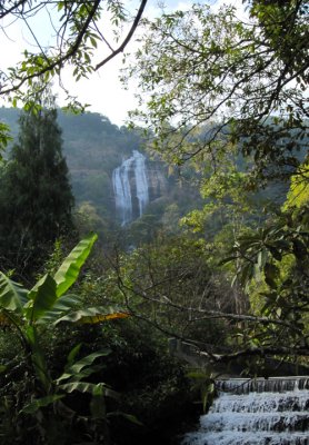 Doi Inthanon