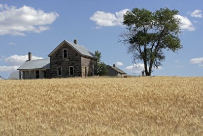 Home on the Range