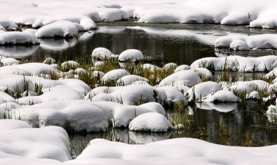 Wetlands