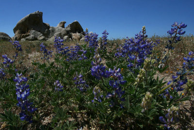 Eagle Rock