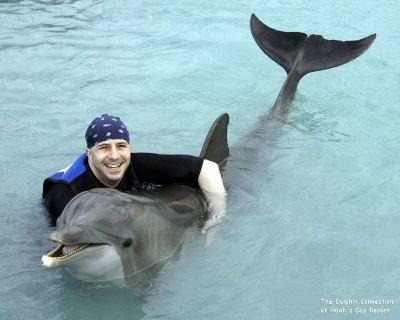 Dolphin at Hawk's Cay