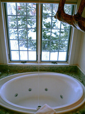 Winvian Bath With a View