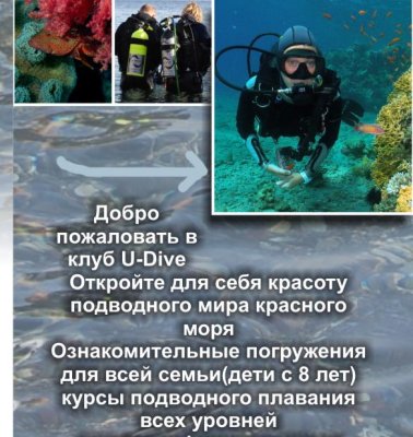 U-Dive Flyer