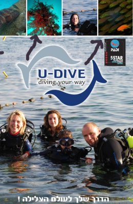 Diving In Eilat/Red Sea