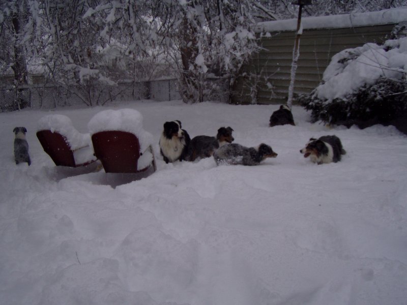 The gang in the snowstorm