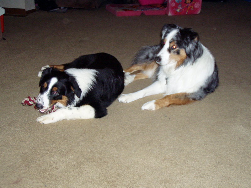 Sassy and Autumn
