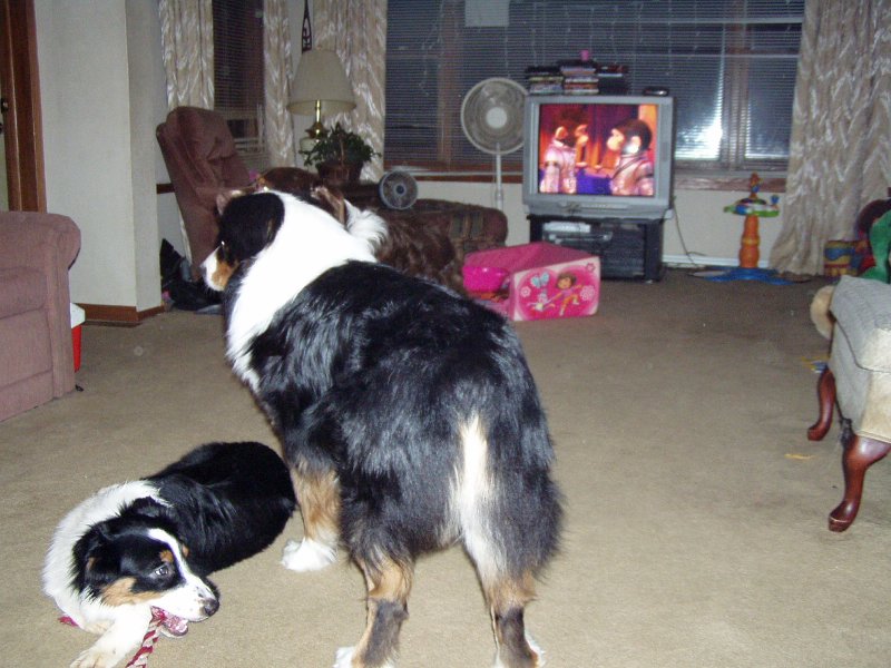 Jax and Autumn