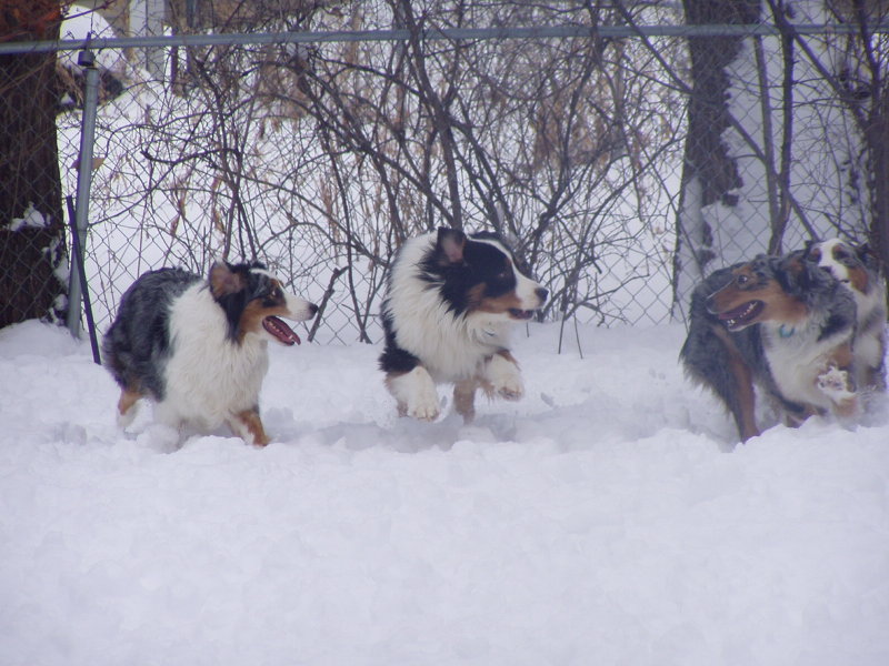 fun in snow