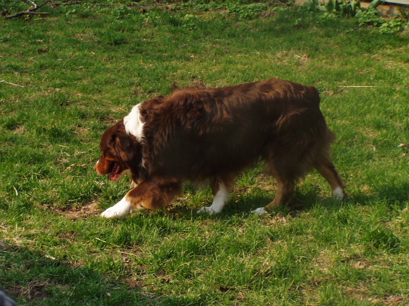 Slinger