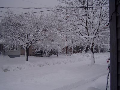 snowstorm 2009