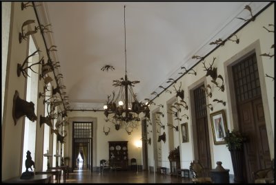 Palacio de Mafra 8