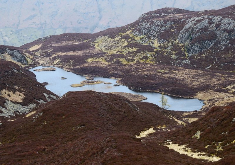 Lingmoor tarn - worth going from Blea tarn car park up Lingmoor