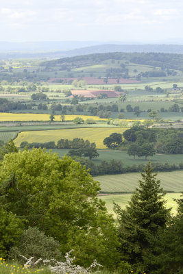 county patchwork seen from Oyster Hill