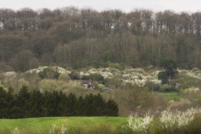 'Summers Place', or at least spring's - the smallholding we had and rebuilt the house