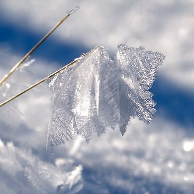 ice crystals