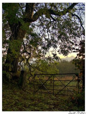 Tree and Gate