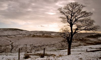 Winter Vista