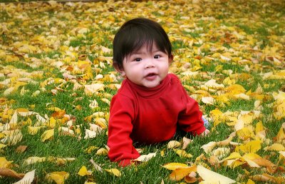 IMG_0008web.jpg