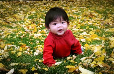 IMG_0008web.jpg