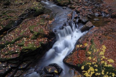 Birks of Aberfeldy