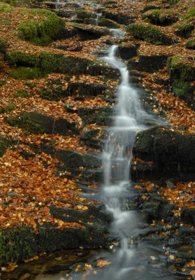 Waterfall, Perthshire