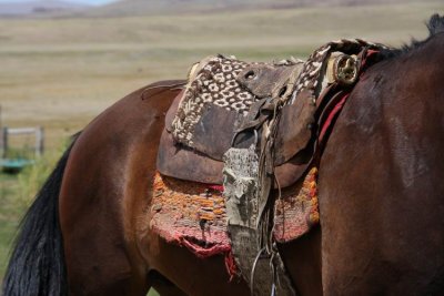 Gaucho saddle