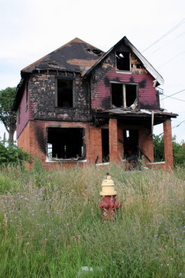 Detroit_MI_pictures_urban_destruction-1.JPG