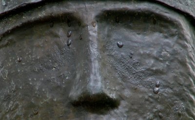 I7383.jpg