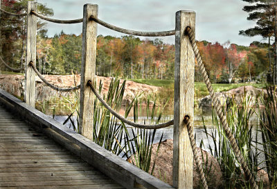 the_marsh.jpg