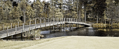 wildfire_bridge.jpg
