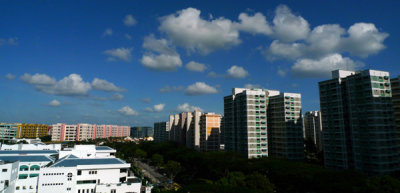 P1000626 copy.jpg