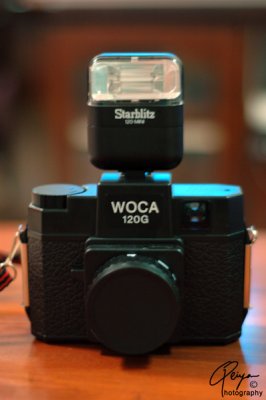 Holga