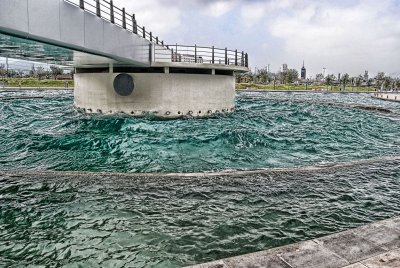 DSC_9916.JPG
