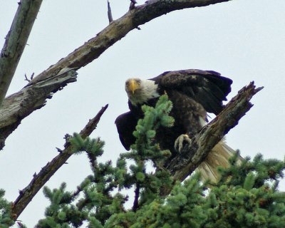 g3/34/943634/3/121677267.x3esxX0P.jpg