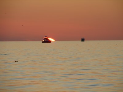 Various photos with the sun