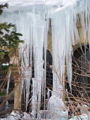 2010-02-18 Icecapades
