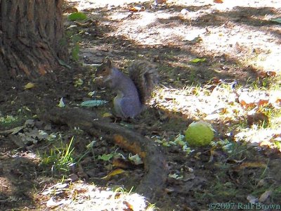 2007-10-31 Snacking