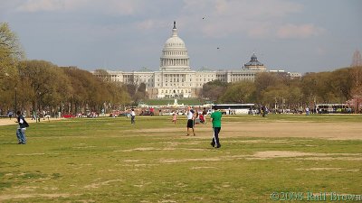 Play Ball on the Mall