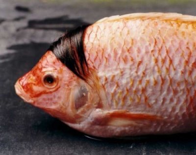redfish3