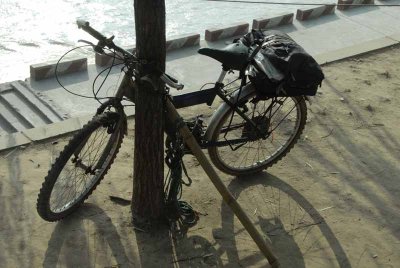 Bamboo Pole and Bike 007.jpg