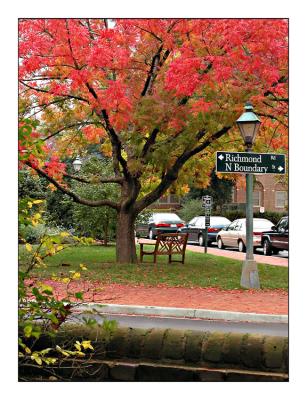 The Flamboyant Tree