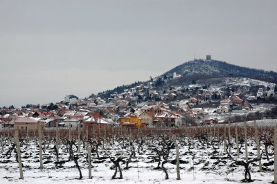 Winter in Vrsac