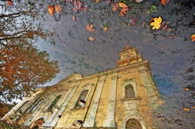 Autumn - reflection in Puddle