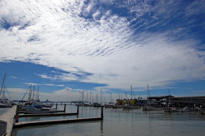 DSC_8259.jpg