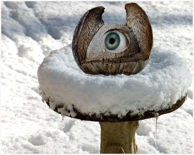 Cold Eye