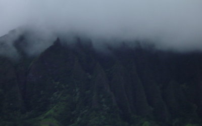 g3/35/294935/3/88663056.C3iBJdsj.jpg