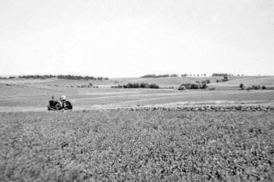 Gilbert Cultivating Corn