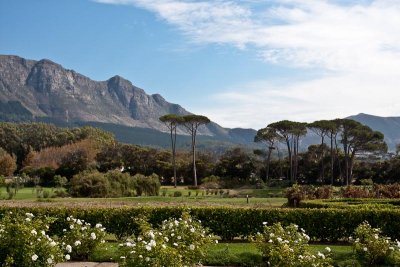 Steenberg Wine Estate