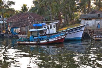 Fishing Boats in Port